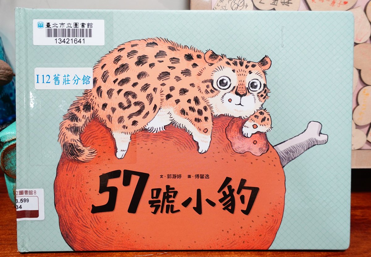 童書繪本推薦|57號小豹 不一樣又怎樣?台灣童書/繪本作家,有趣的兒童繪本,適合親子共讀。 - 第2張圖