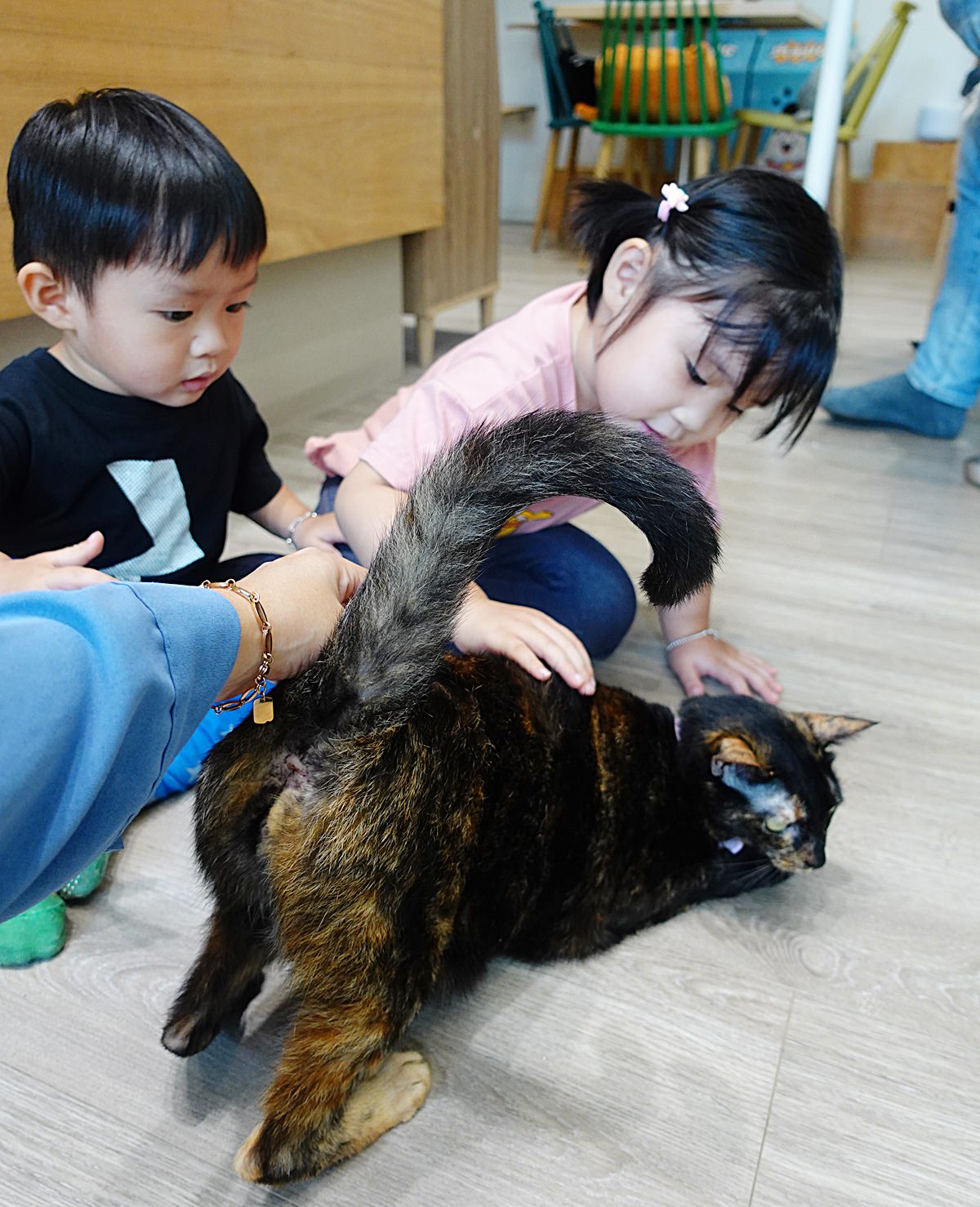 【桃園】寵物餐廳毛來了Furry Furry 青埔寵物友善餐廳/桃捷A17美食推薦 - 第19張圖