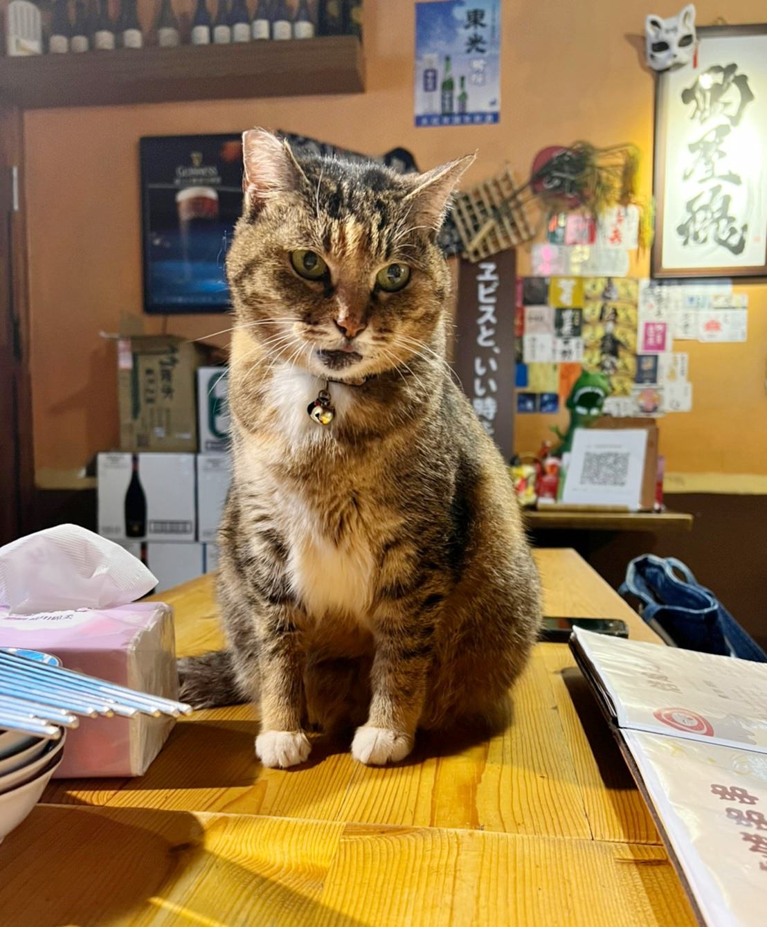 內湖|酌屋燒肉居酒屋 2022新菜單 內湖居酒屋推薦! - 第7張圖