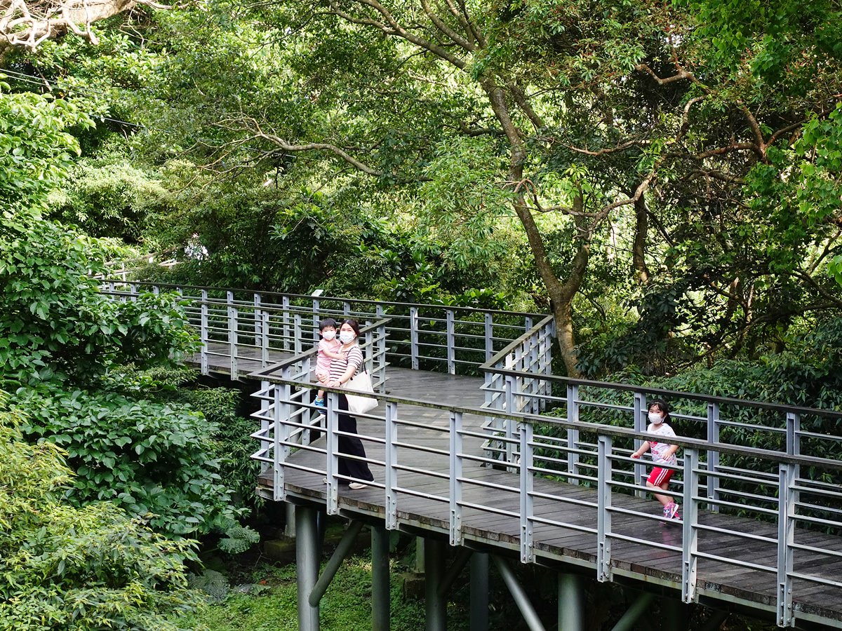 觀音山林梢步道