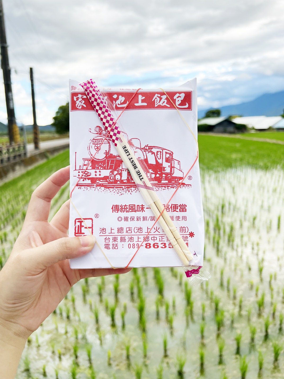 台東池上|家鄉正宗池上飯包 池上便當我只推薦這家(2022/8月造訪) - 第9張圖