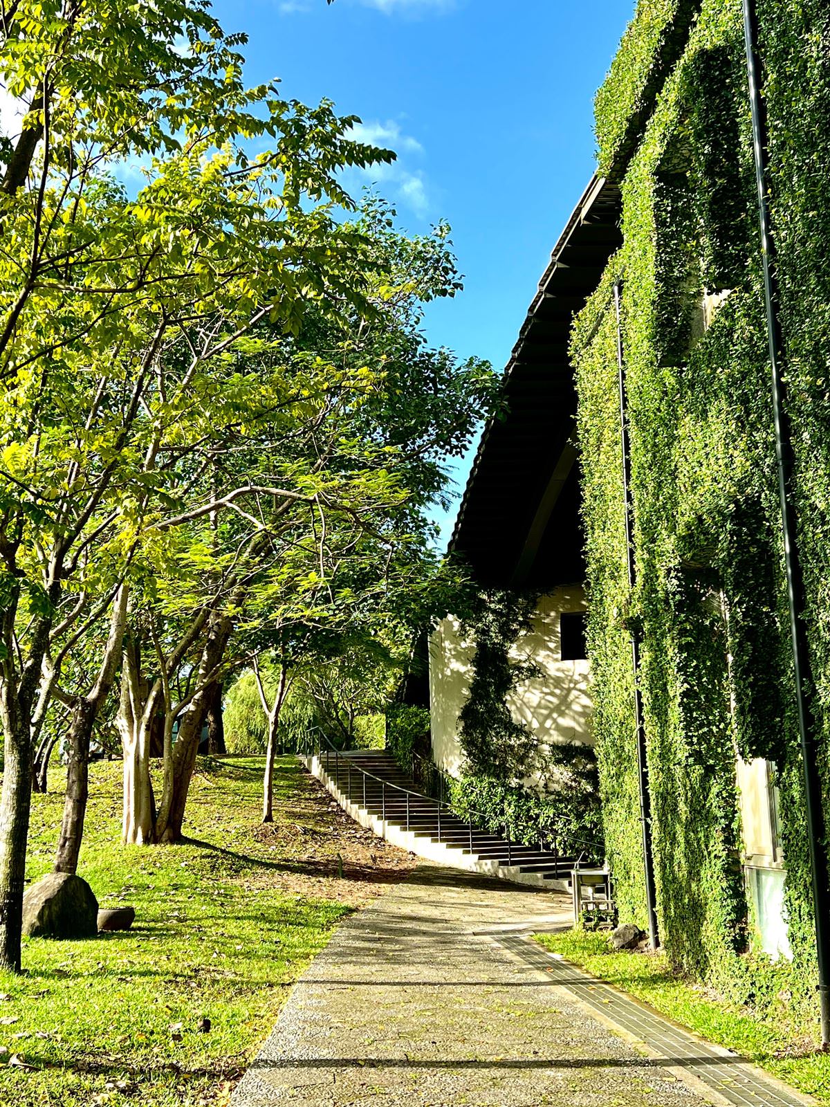 星巴克淡水雲門門市,順遊雲門劇場,享受悠閒愜意的咖啡饗宴 - 第23張圖