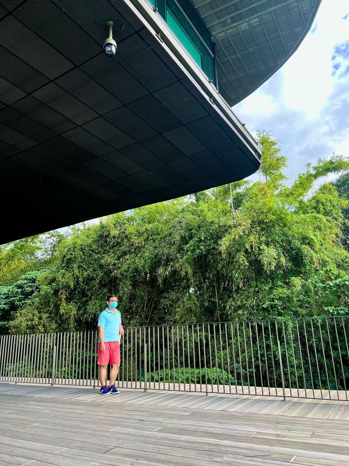 星巴克淡水雲門門市,順遊雲門劇場,享受悠閒愜意的咖啡饗宴 - 第18張圖