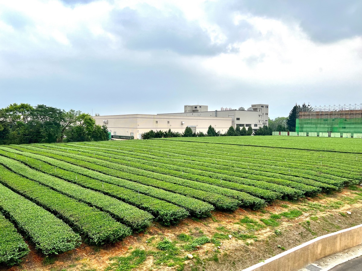 桃園龍潭景點|臺灣客家茶文化館 客家X茶文化的融合 看展覽、DIY體驗、出遊好選擇 - 第38張圖