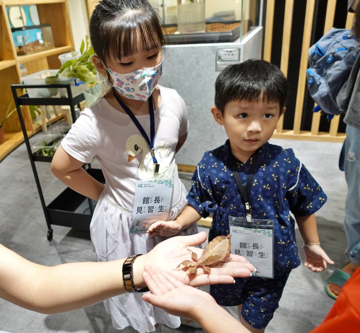 台北小小職人體驗|蟲蟲巴斯小小館長 當一天的昆蟲飼育員好有趣!台北室內景點推薦 - 第25張圖