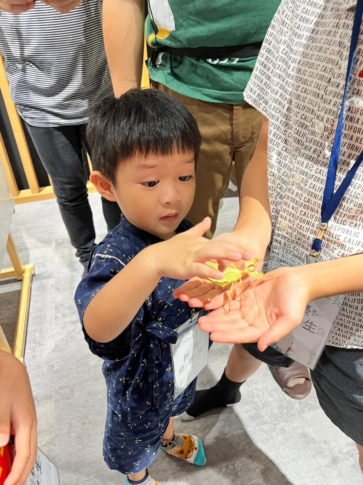 台北小小職人體驗|蟲蟲巴斯小小館長 當一天的昆蟲飼育員好有趣!台北室內景點推薦 - 第24張圖