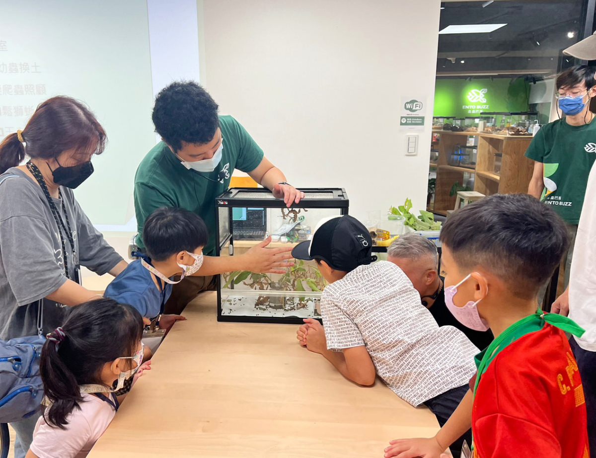 台北小小職人體驗|蟲蟲巴斯小小館長 當一天的昆蟲飼育員好有趣!台北室內景點推薦 - 第26張圖