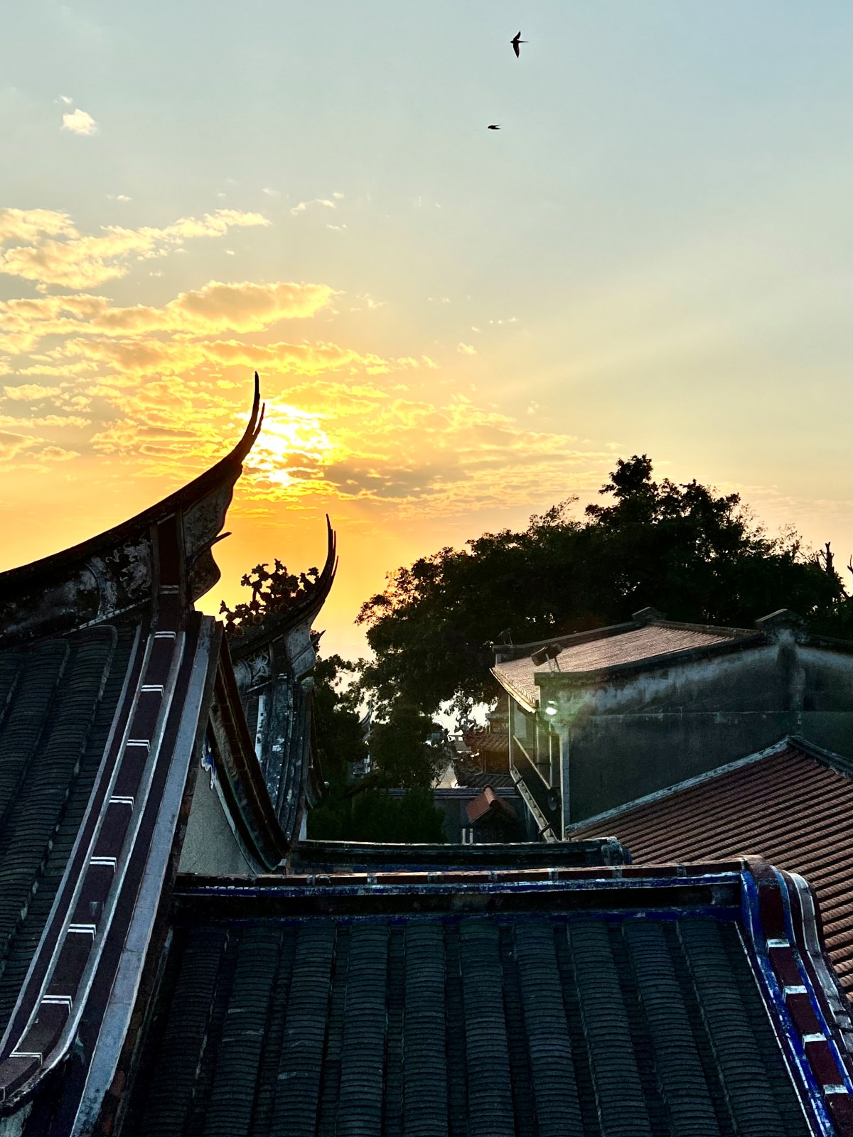 台南景點|白河關子嶺火山碧雲寺 枕頭山賞夕陽好地方 - 第8張圖
