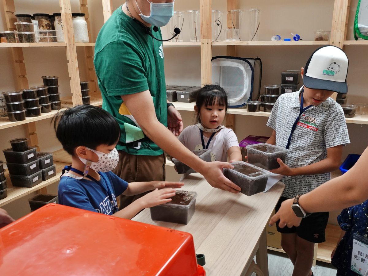 蟲蟲巴斯 小館長幼蟲換土