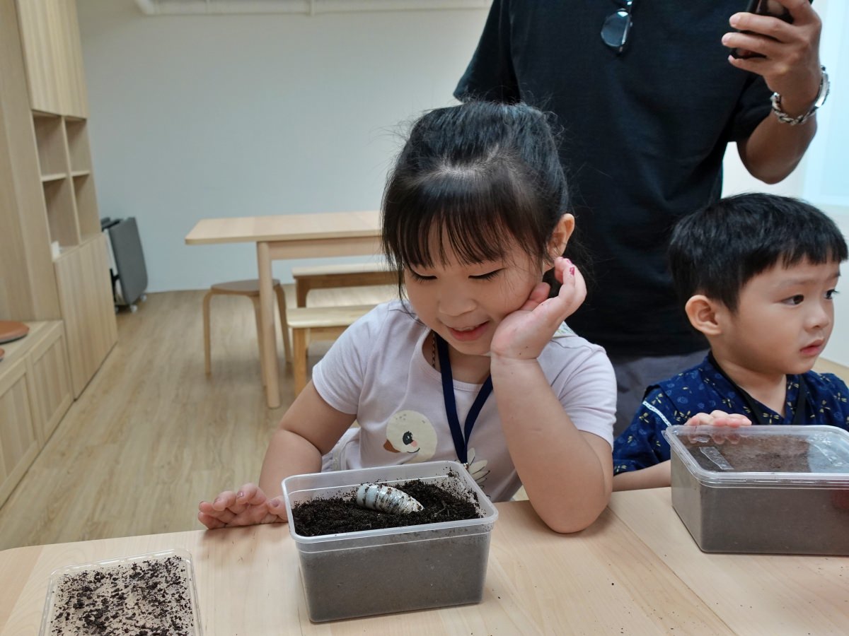 蟲蟲巴斯 小館長幼蟲換土4