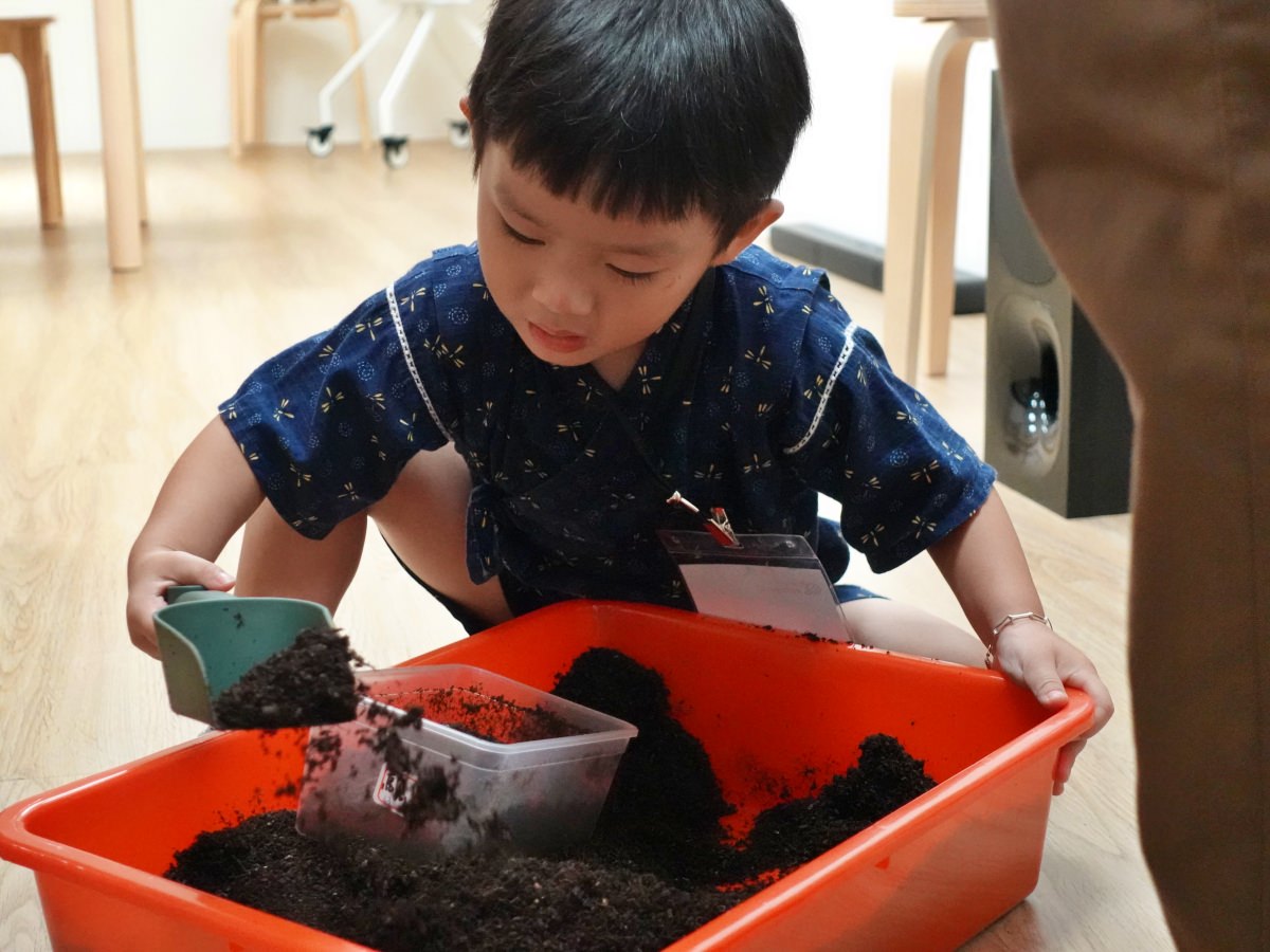 蟲蟲巴斯 小館長幼蟲換土5