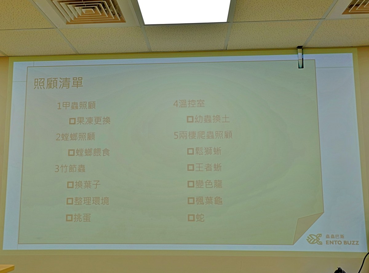 台北小小職人體驗|蟲蟲巴斯小小館長 當一天的昆蟲飼育員好有趣!台北室內景點推薦 - 第11張圖