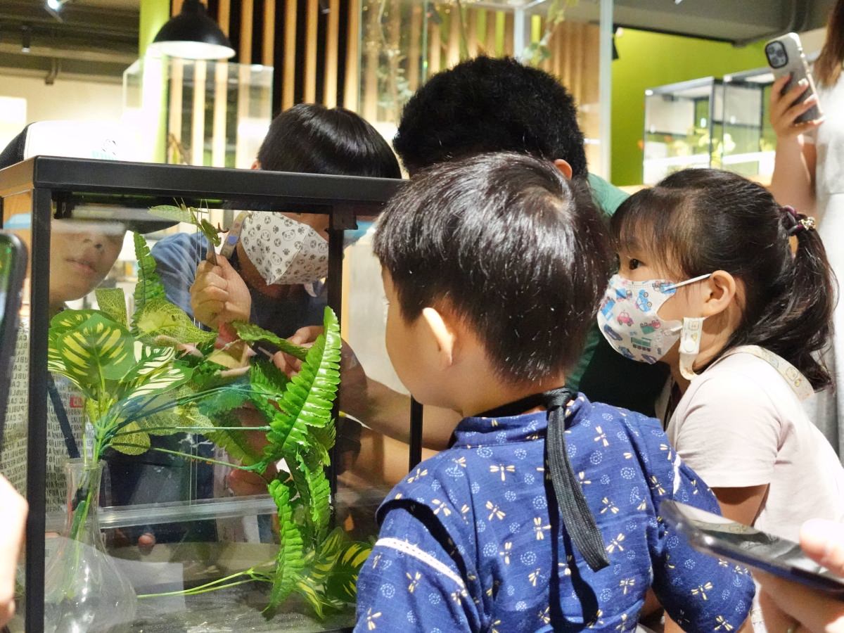 蟲蟲巴斯 小館長餵食螳螂