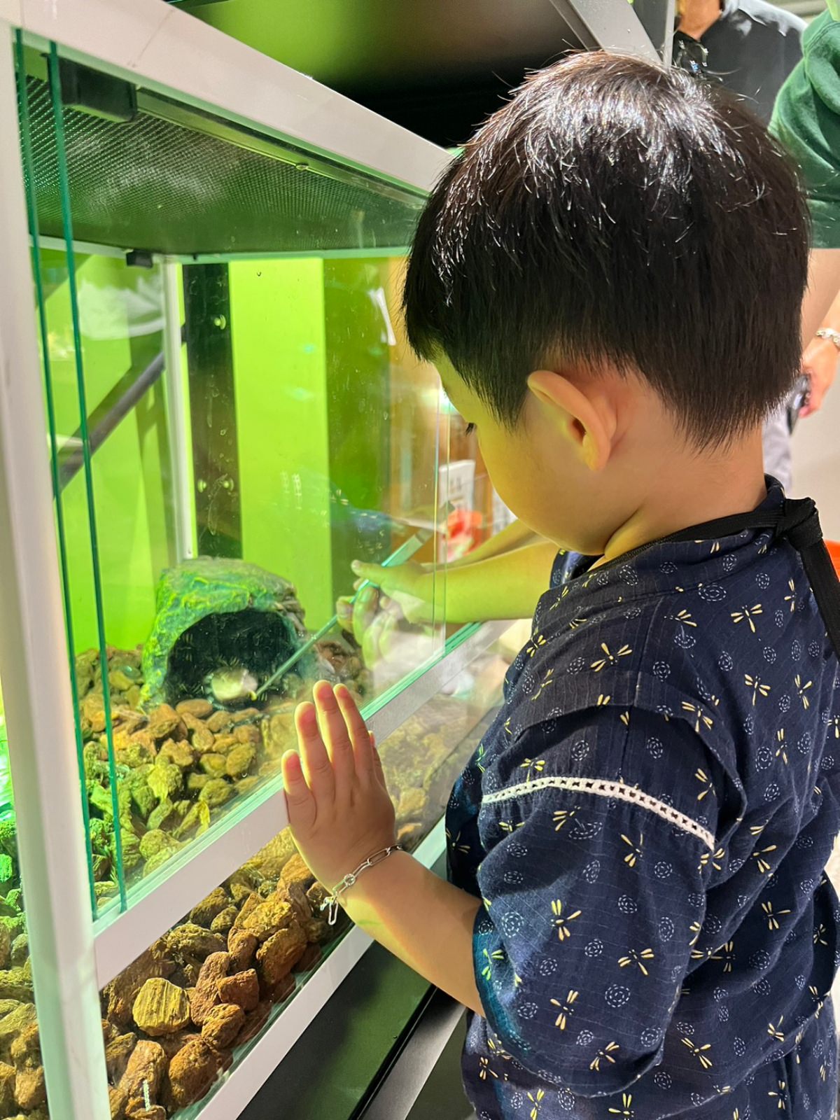 台北小小職人體驗|蟲蟲巴斯小小館長 當一天的昆蟲飼育員好有趣!台北室內景點推薦 - 第47張圖