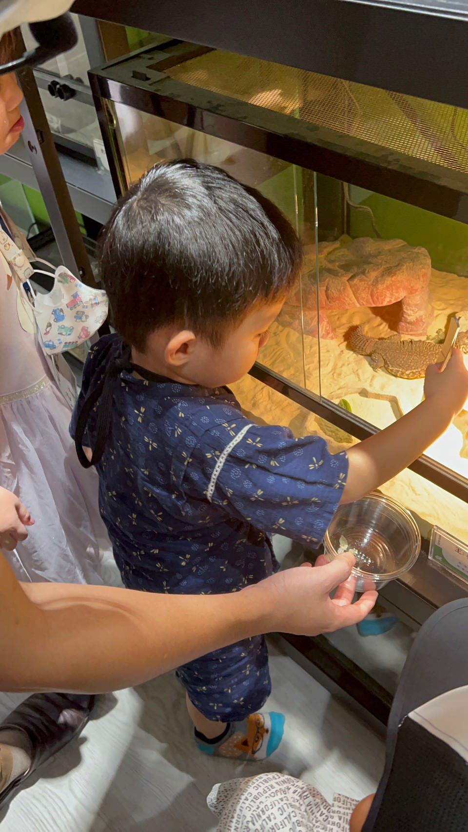 台北小小職人體驗|蟲蟲巴斯小小館長 當一天的昆蟲飼育員好有趣!台北室內景點推薦 - 第44張圖