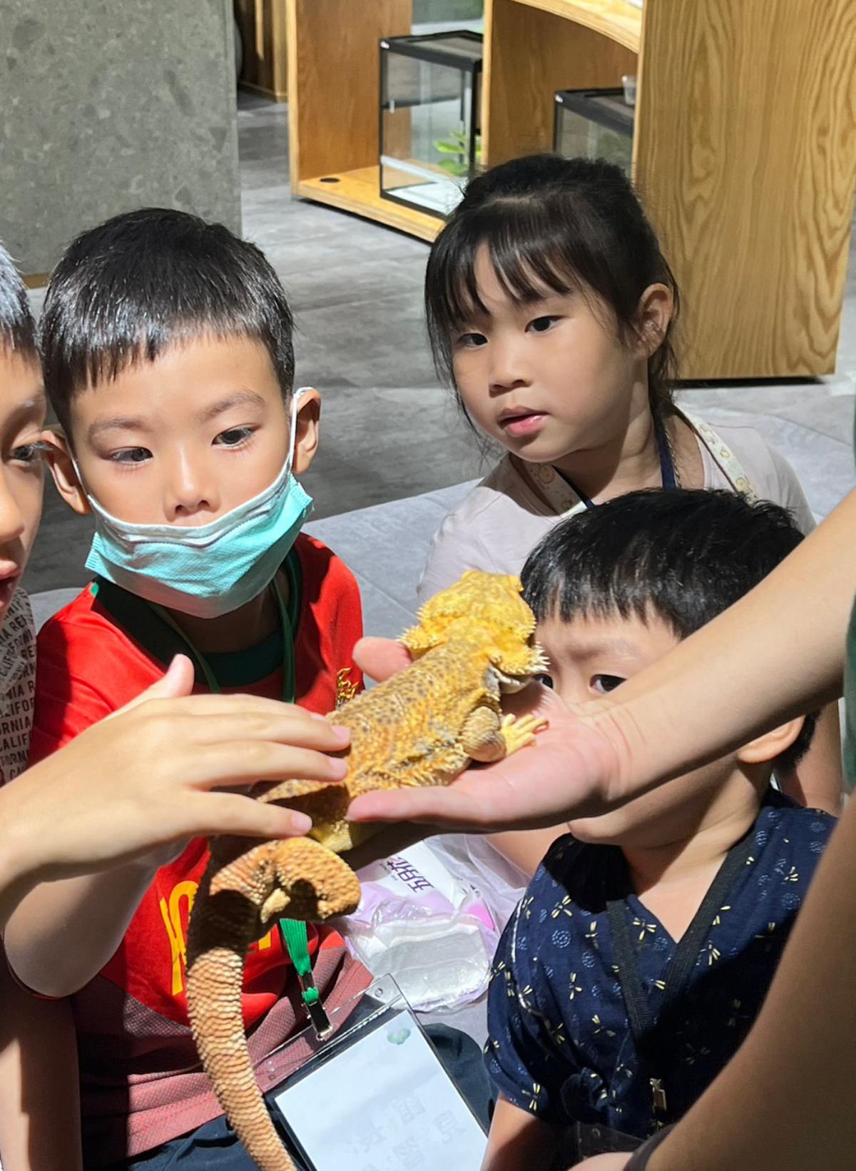 台北小小職人體驗|蟲蟲巴斯小小館長 當一天的昆蟲飼育員好有趣!台北室內景點推薦 - 第46張圖
