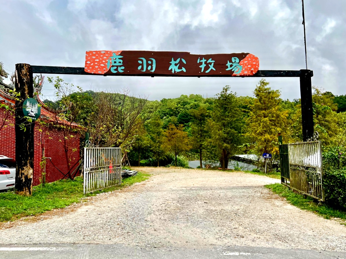 新北親子休閒農場 金山鹿羽松牧場 超親人草尼馬、梅花鹿、水豚君,還有真實版跳跳羊喔! - 第2張圖