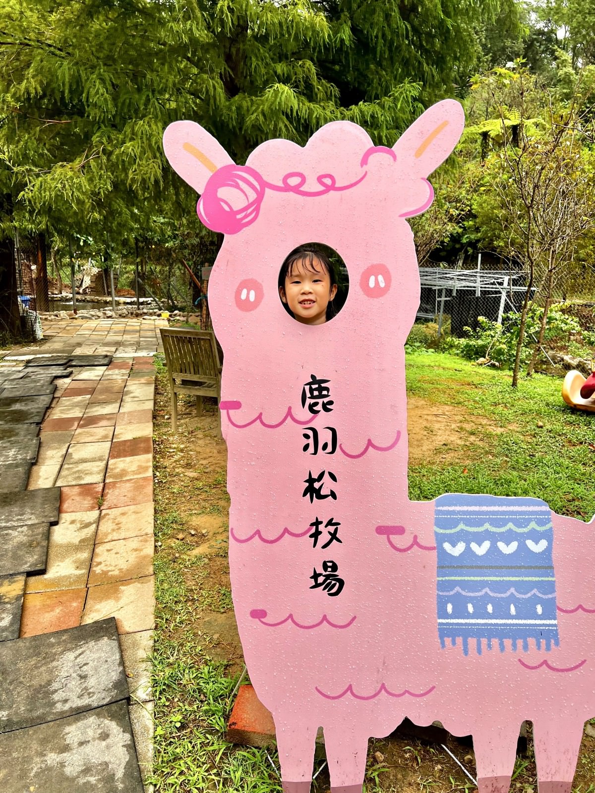 新北親子休閒農場 金山鹿羽松牧場 超親人草尼馬、梅花鹿、水豚君,還有真實版跳跳羊喔! - 第28張圖