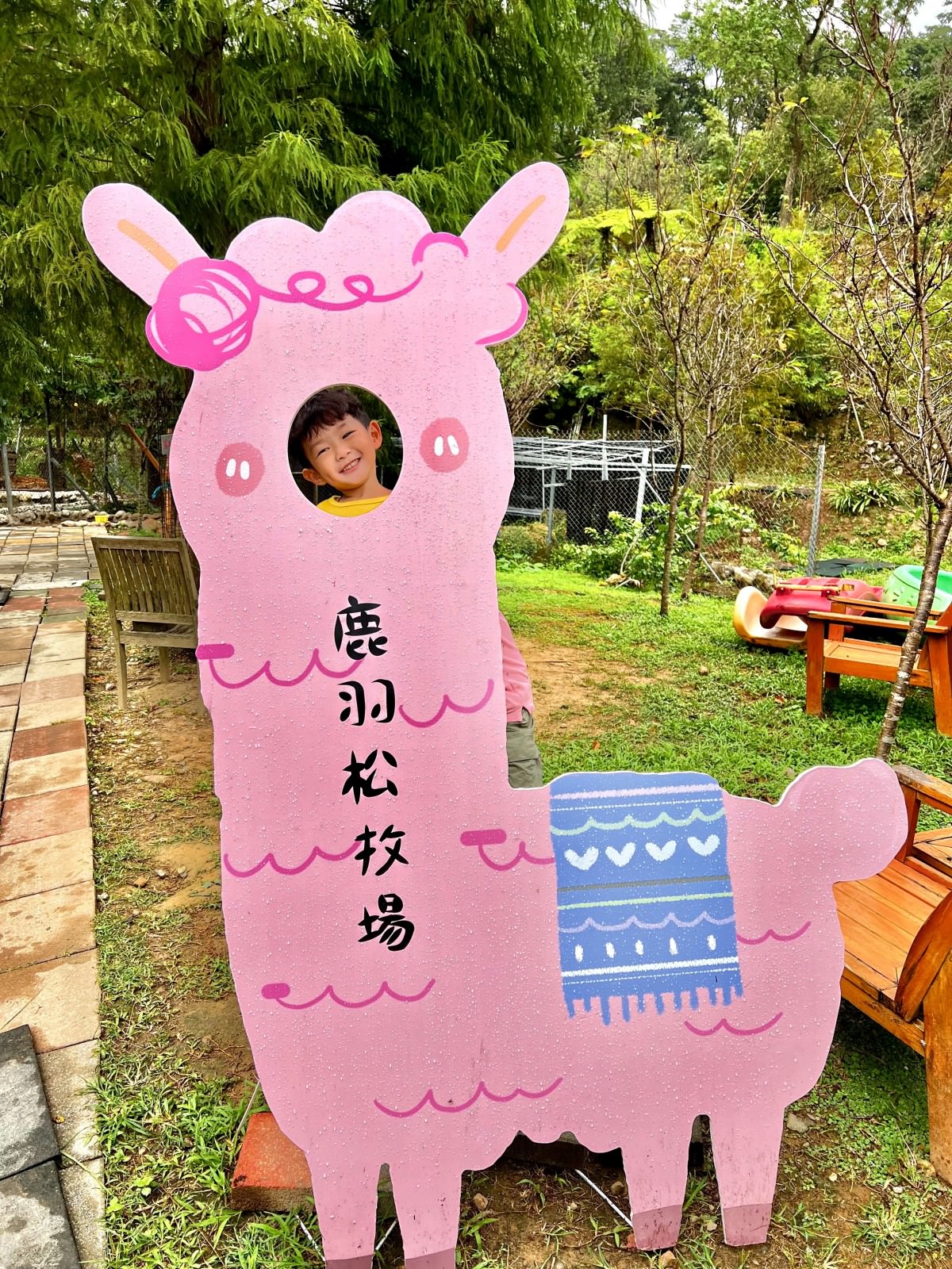 新北親子休閒農場 金山鹿羽松牧場 超親人草尼馬、梅花鹿、水豚君,還有真實版跳跳羊喔! - 第29張圖