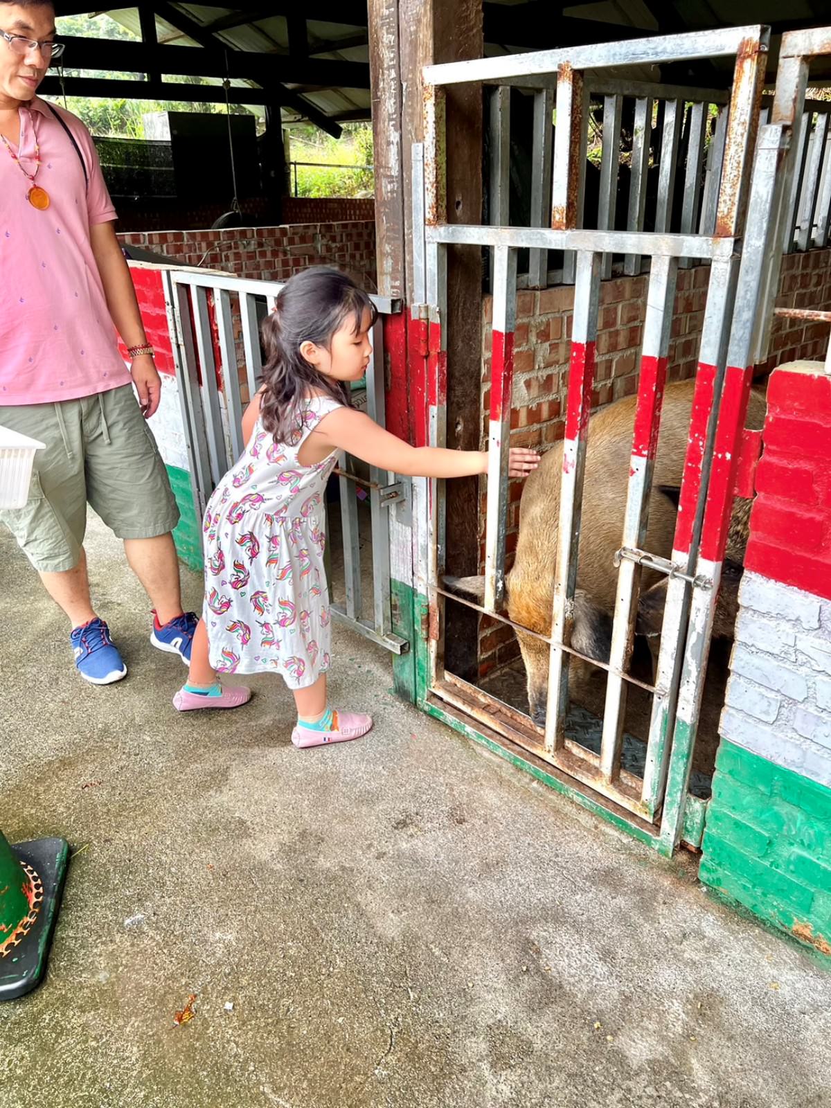 新北親子休閒農場 金山鹿羽松牧場 超親人草尼馬、梅花鹿、水豚君,還有真實版跳跳羊喔! - 第26張圖