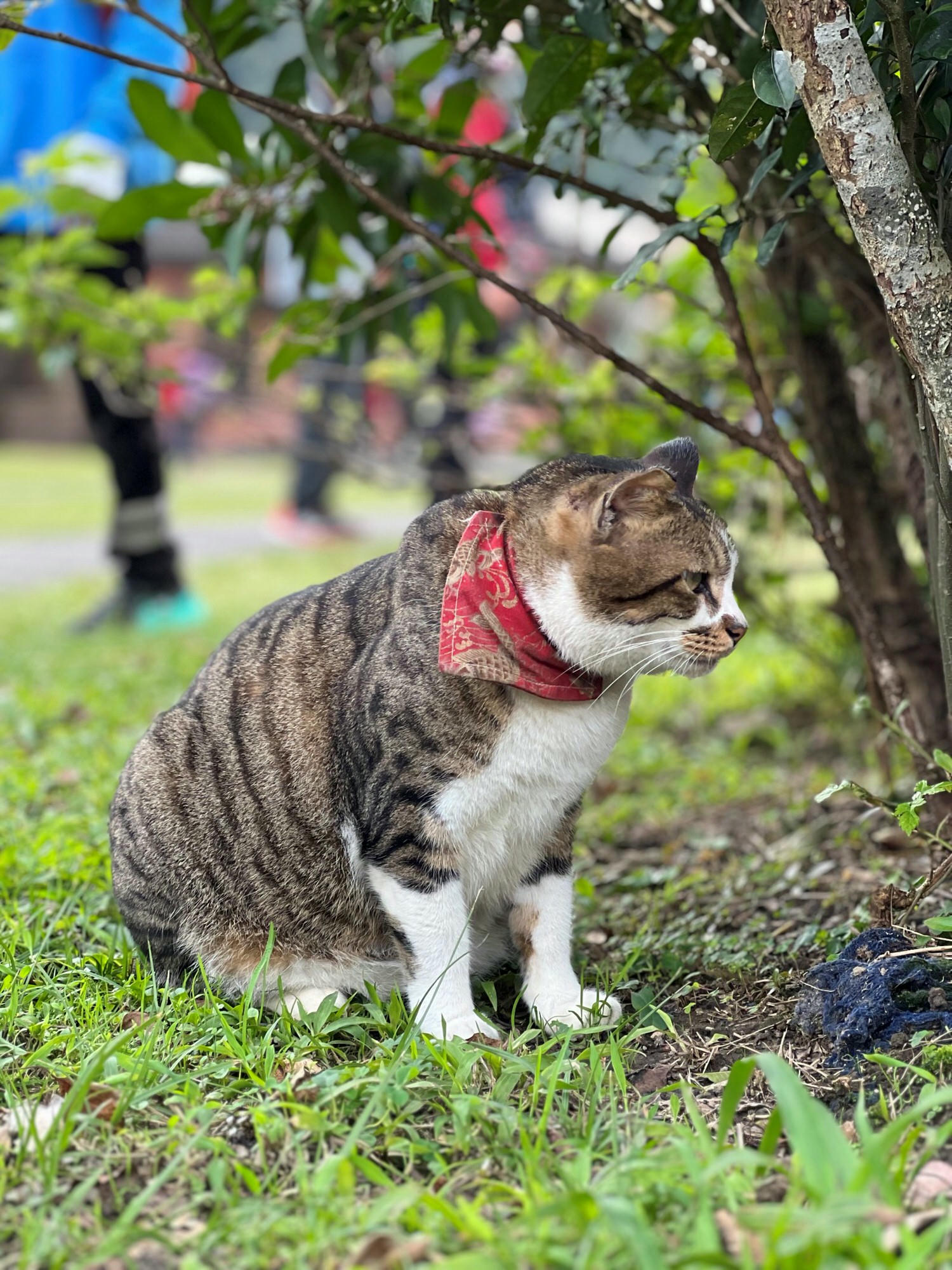 新北瑞芳景點|瑞三鑛業整煤廠 猴硐必訪新景點,深入探索礦業文化 - 第29張圖