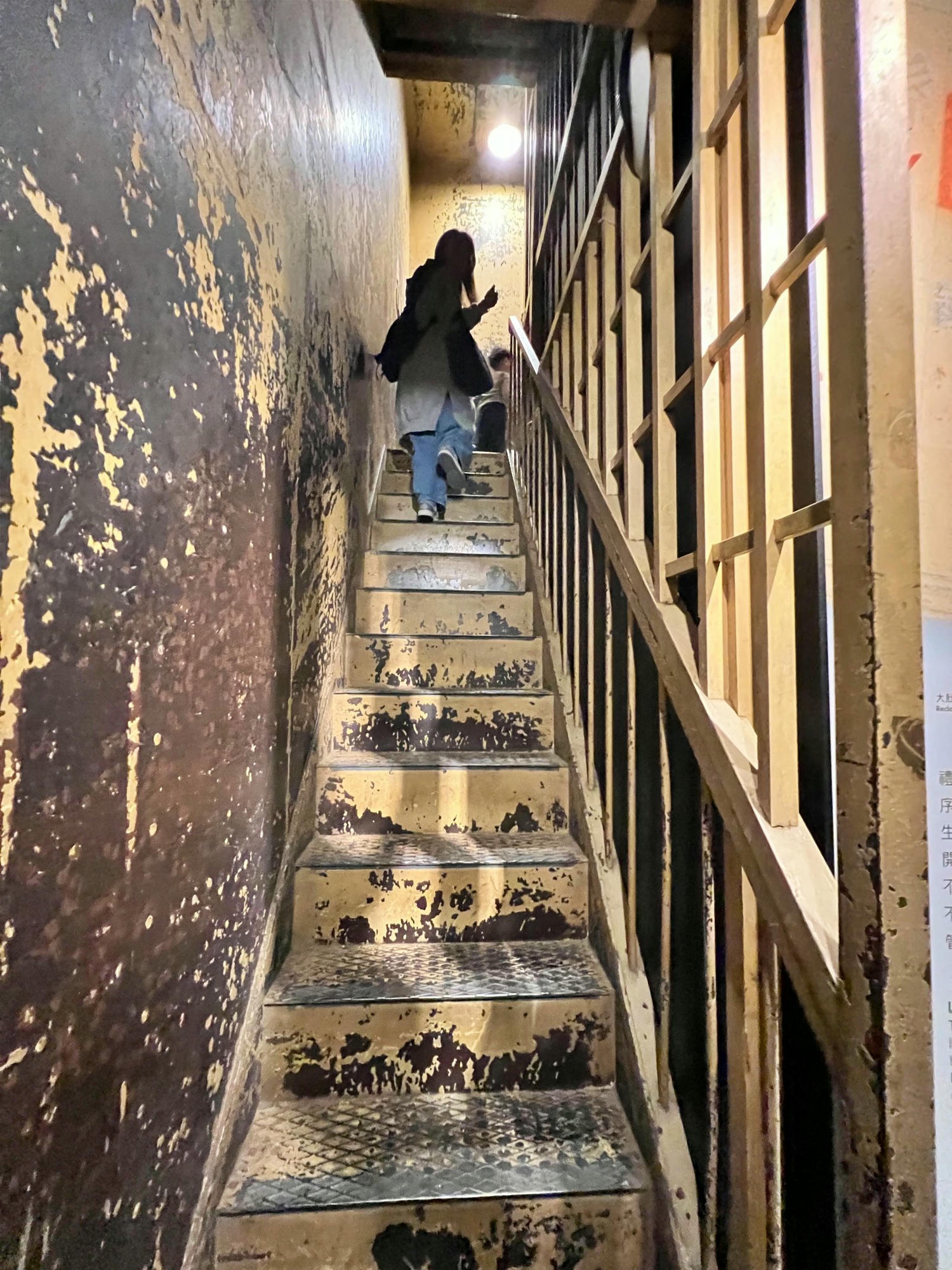 台北景點|國立臺灣博物館(土銀展示館) 恐龍迷必訪,超大巨型恐龍超震撼!台北雨天景點備案推薦! - 第34張圖