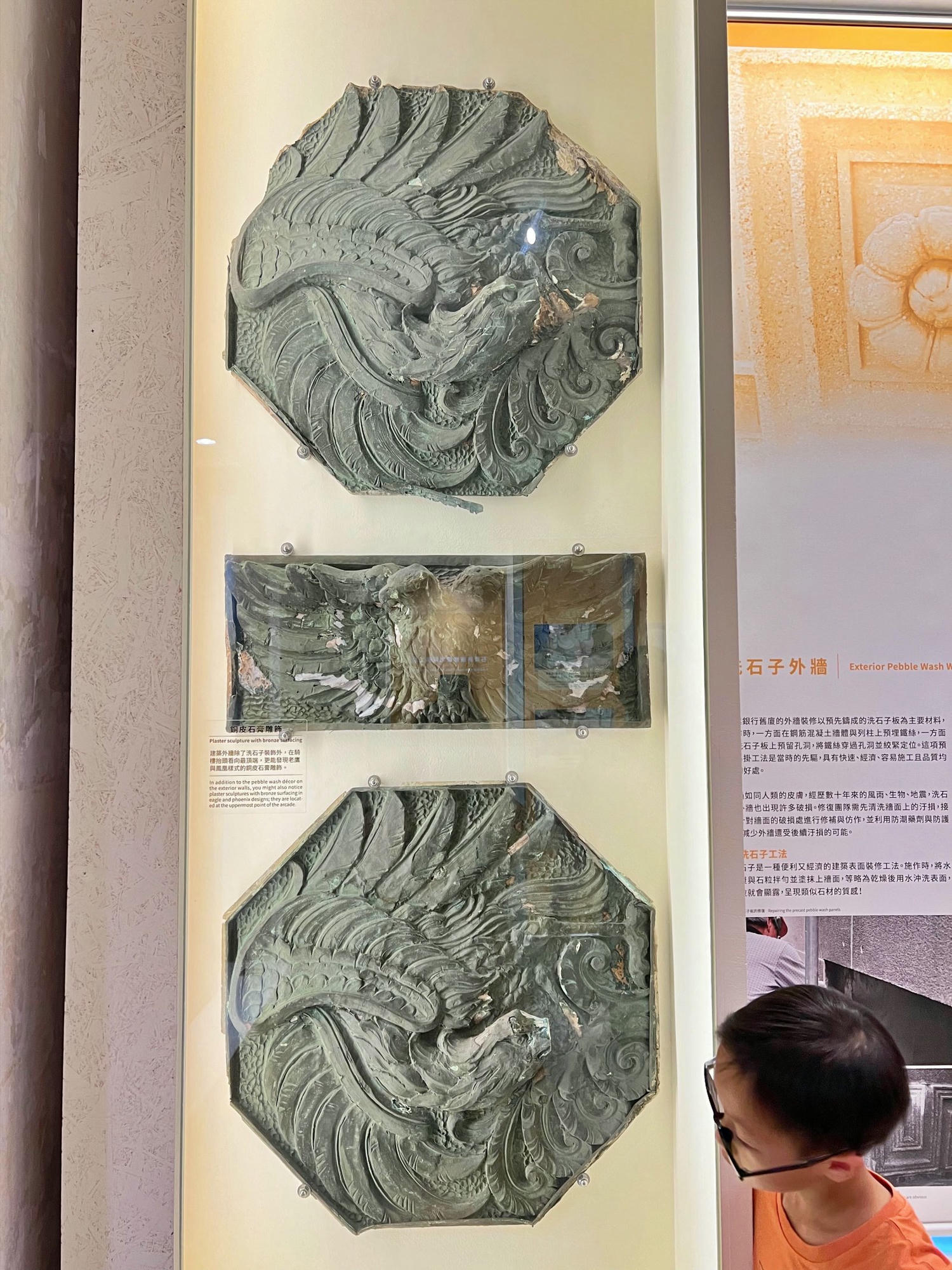 台北景點|國立臺灣博物館(土銀展示館) 恐龍迷必訪,超大巨型恐龍超震撼!台北雨天景點備案推薦! - 第30張圖