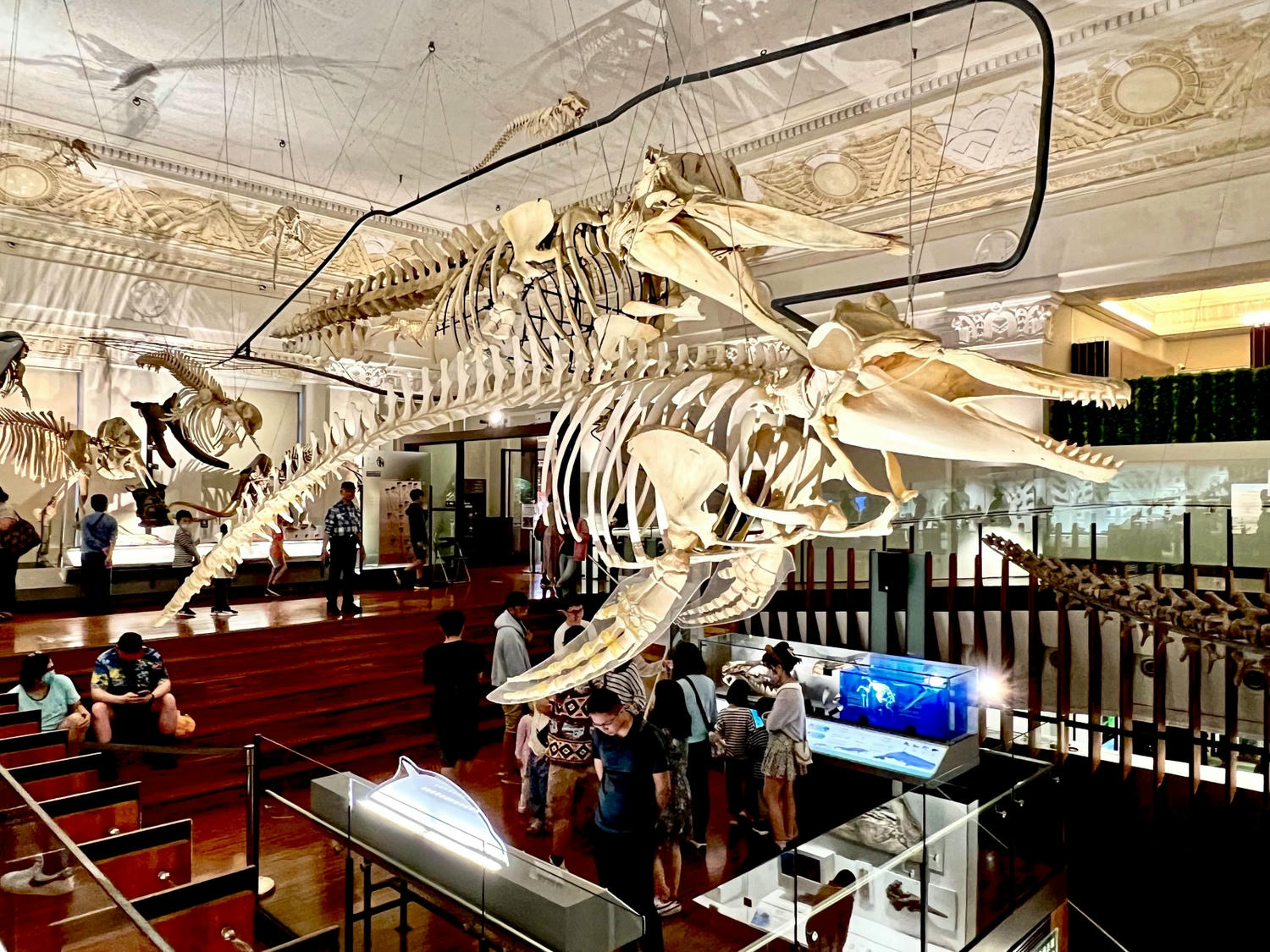 台北景點|國立臺灣博物館(土銀展示館) 恐龍迷必訪,超大巨型恐龍超震撼!台北雨天景點備案推薦! - 第12張圖