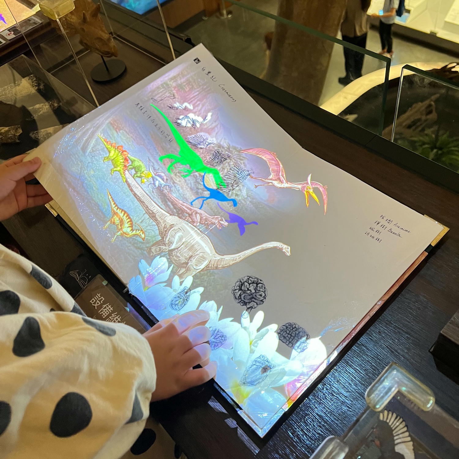 台北景點|國立臺灣博物館(土銀展示館) 恐龍迷必訪,超大巨型恐龍超震撼!台北雨天景點備案推薦! - 第13張圖
