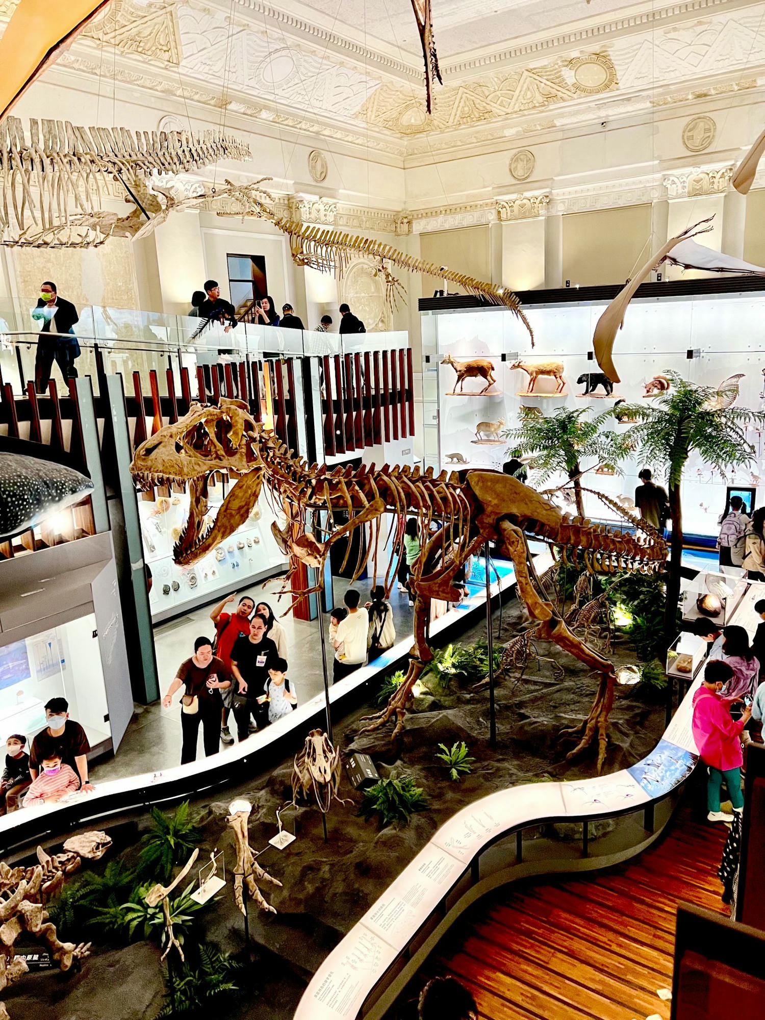 台北景點|國立臺灣博物館(土銀展示館) 恐龍迷必訪,超大巨型恐龍超震撼!台北雨天景點備案推薦! - 第15張圖