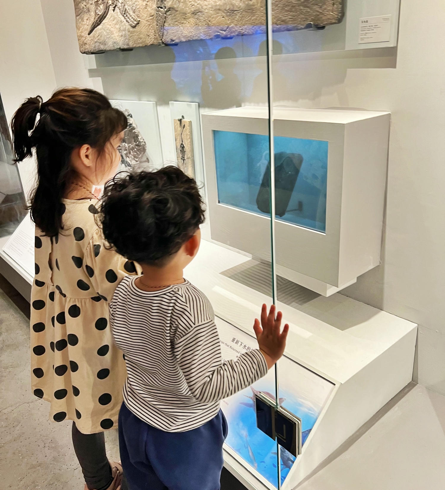 台北景點|國立臺灣博物館(土銀展示館) 恐龍迷必訪,超大巨型恐龍超震撼!台北雨天景點備案推薦! - 第9張圖