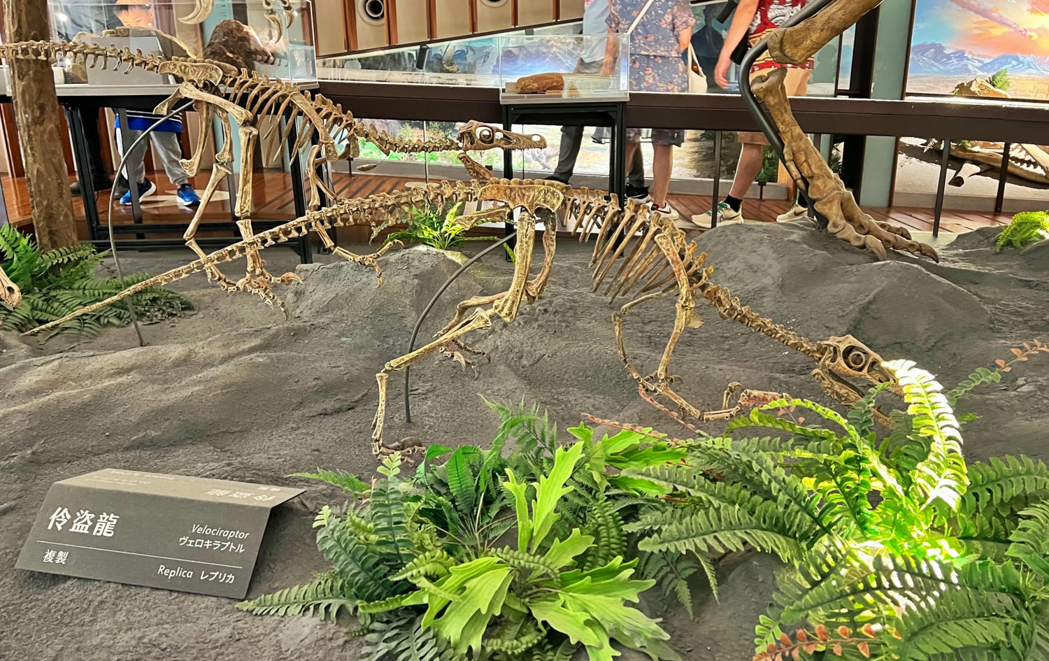 台北景點|國立臺灣博物館(土銀展示館) 恐龍迷必訪,超大巨型恐龍超震撼!台北雨天景點備案推薦! - 第10張圖