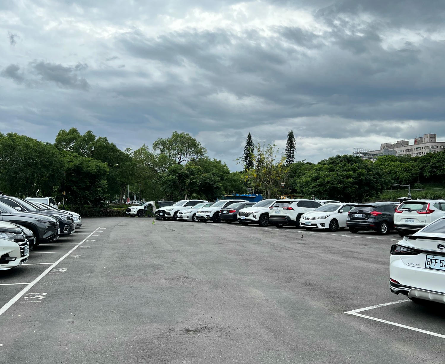 新北親子景點|新店小碧潭微樂山丘自行車躍動場 享受自行越野車的樂趣! - 第4張圖