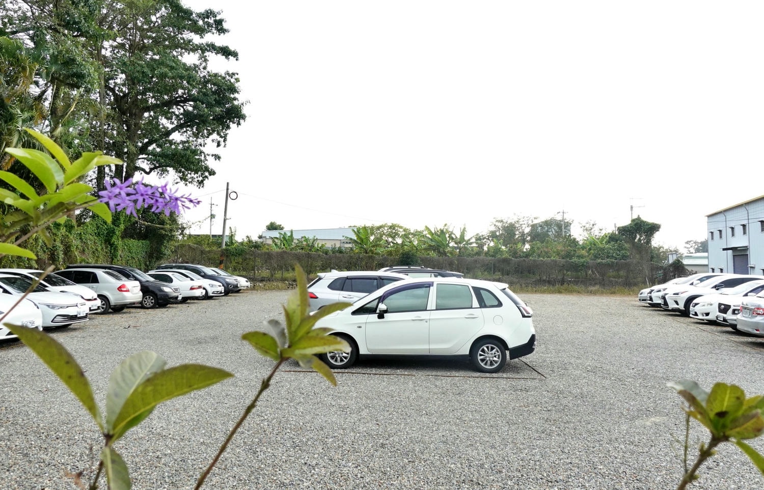 嘉義親子露營車住宿-詩情花園渡假村,DIY披薩、魔術表演、煙火秀,一站式度假體驗! - 第5張圖
