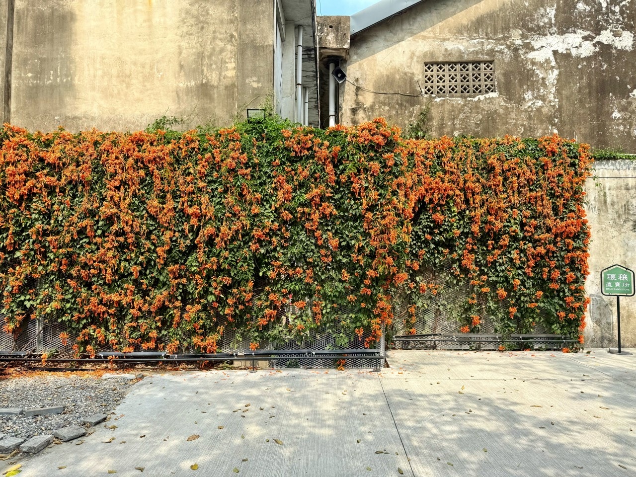 嘉義中埔穀倉農創園區|全台唯一老穀倉星巴克與特色伴手禮 - 第10張圖