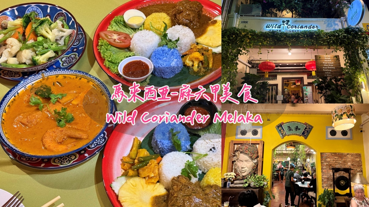 馬來西亞六天五夜|麻六甲美食餐廳Wild Coriander Melaka 娘惹餐推薦 - 第1張圖